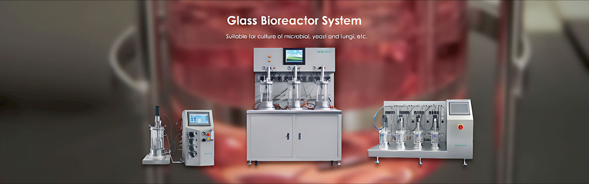 banner of glass bioreactor fermenter