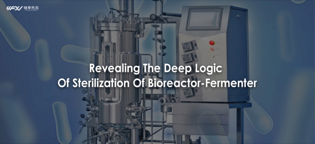 Revealing The Deep Logic Of Sterilization Of Bioreactor-Fermenter