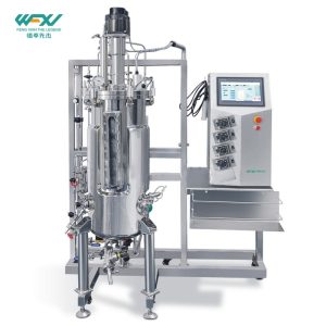 100L Top Mechanical Mixing Stainless Steel Fermenter