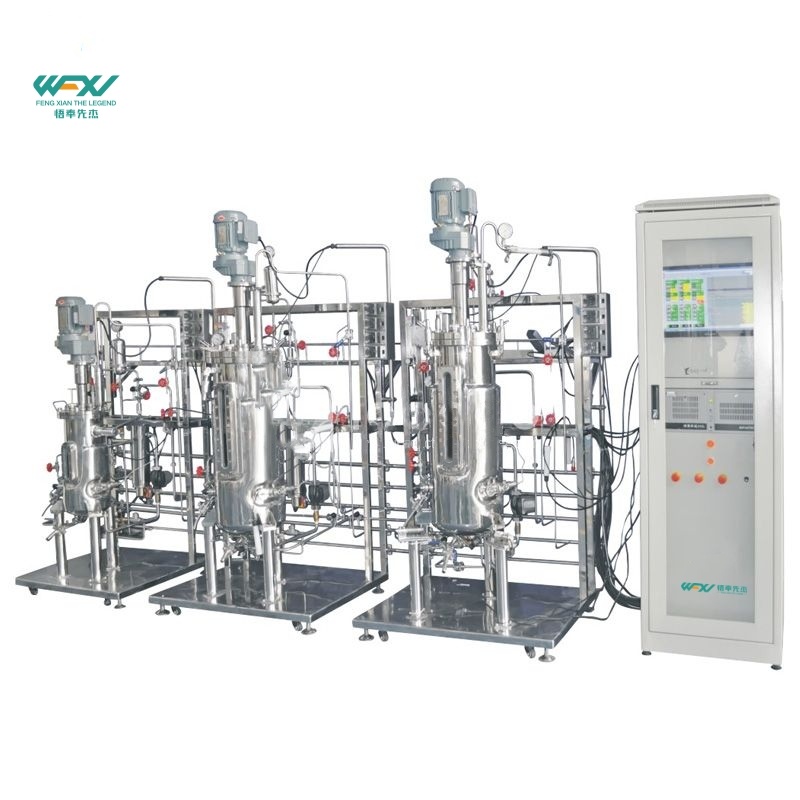 10L-100L-100L Tertiary Stainless Steel Bioreactor System