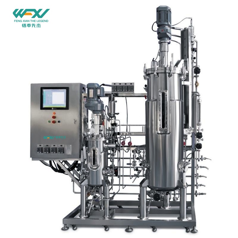 10L-100L Secondary Stainless Steel Bioreactor System