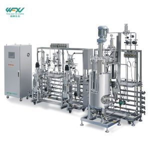 10L-20L-200L Tertiary Stainless Steel Bioreactor System