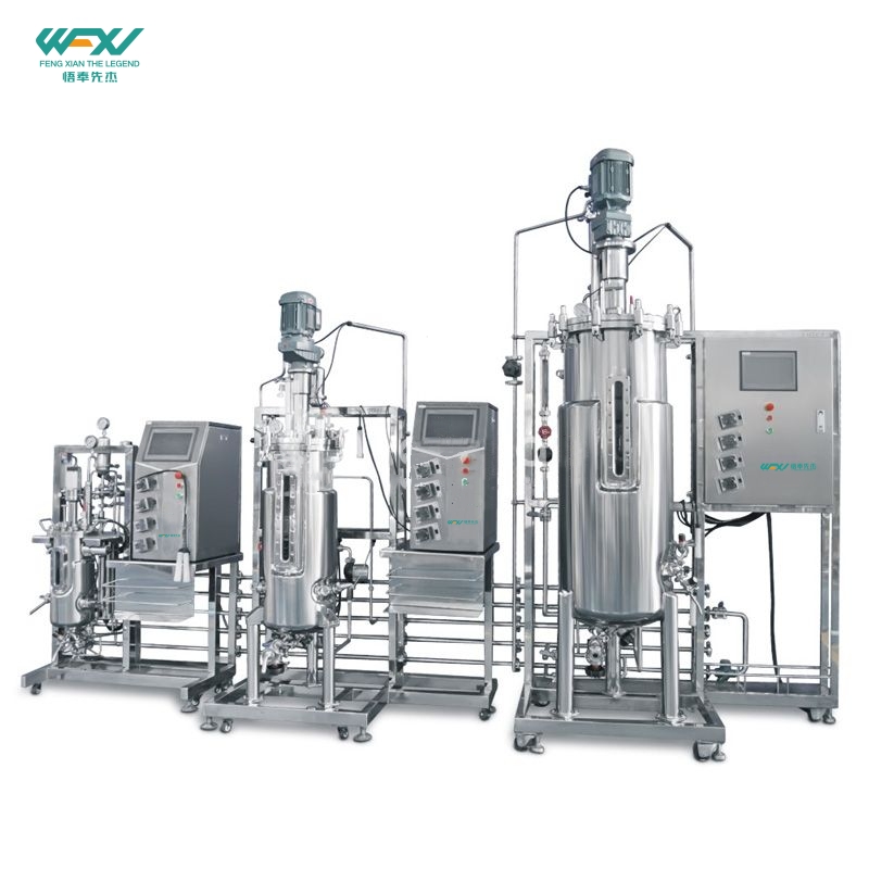 10L-50L-100L Tertiary Stainless Steel Bioreactor System