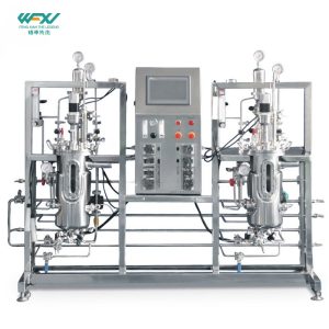 10L Double Stainless Steel Bioreactor