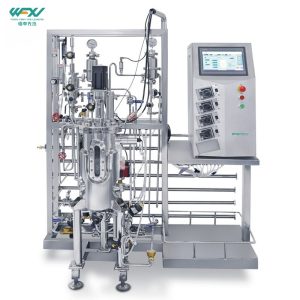 10l-top-mechanical-mixing-stainless-steel-fermenter-system-1.jpg