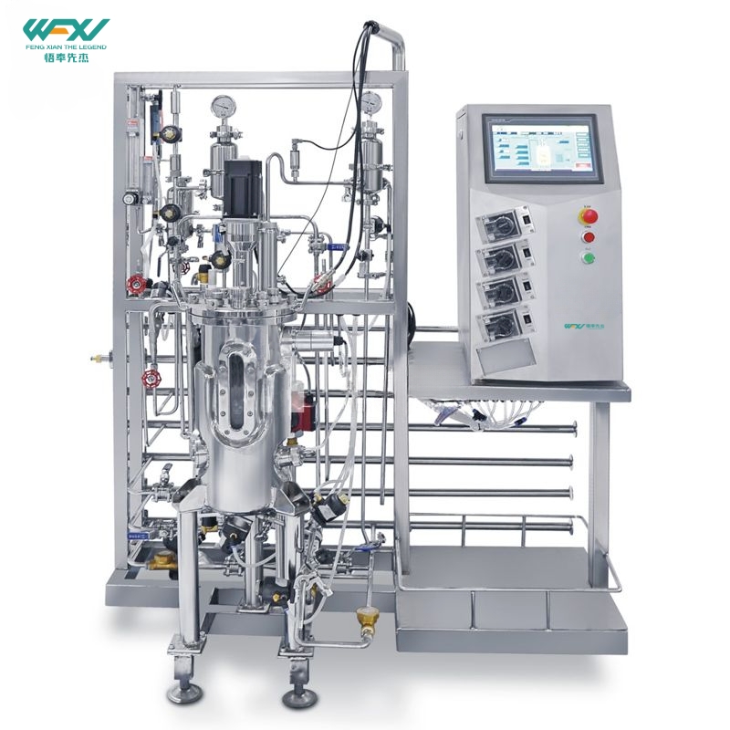 10L Top Mechanical Mixing Stainless Steel Bioreactor