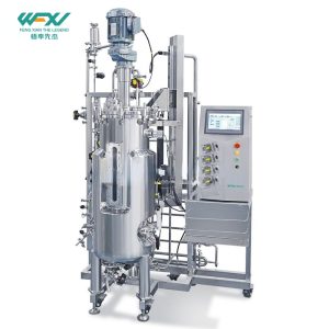 150L Top Mechanical Mixing Stainless Steel Automatic Fermenter