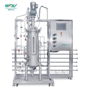 50L Top Mechanical Mixing Stainless Steel Automatic Bioreactor