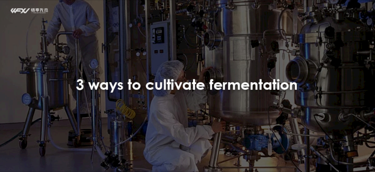 3 Ways To Cultivate Fermentation