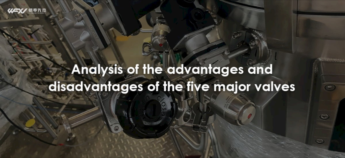 Analysis Of The Advantages And Disadvantages Of The Five Major Valves
