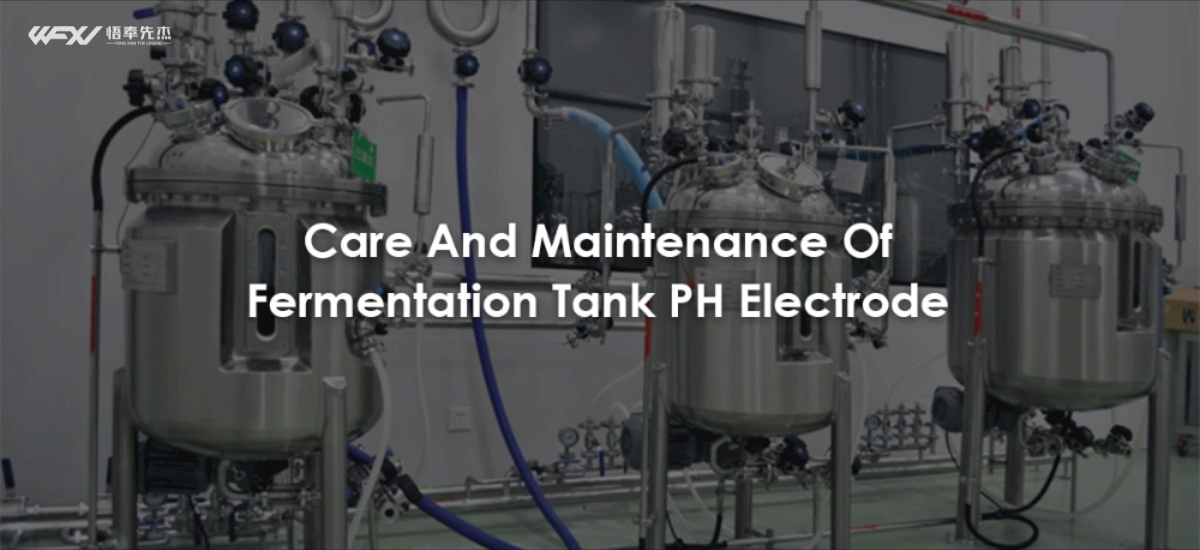 Care And Maintenance Of Fermentation Tank PH Electrode