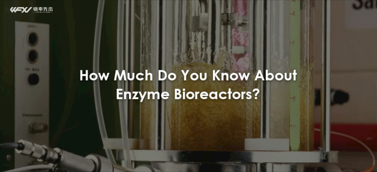 How Much Do You Know About Enzyme Bioreactors?