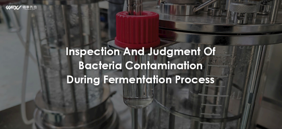 Inspection And Judgment Of Bacteria Contamination During Fermentation Process