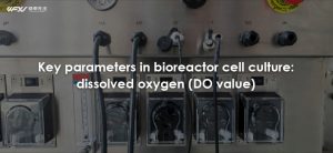 Key Parameter In Bioreactor Cell Culture: Dissolved Oxygen