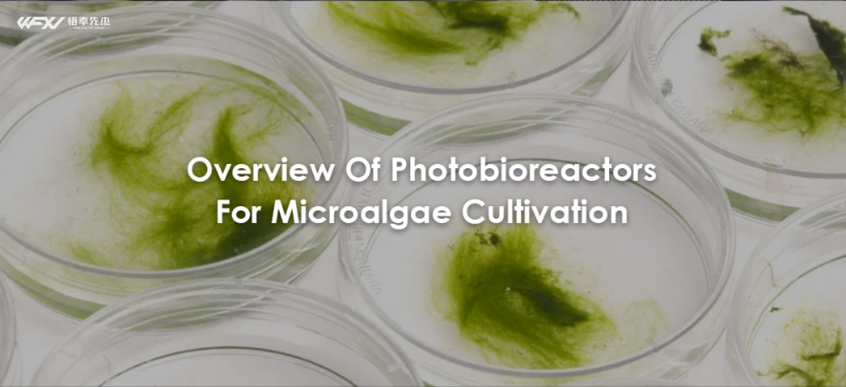 Overview Of Photobioreactors For Microalgae Cultivation