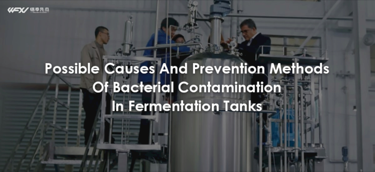 Possible Causes And Prevention Methods Of Bacterial Contamination In Fermentation Tanks