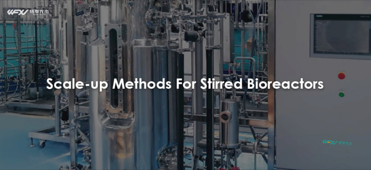 Scale-up Methods For Stirred Bioreactors