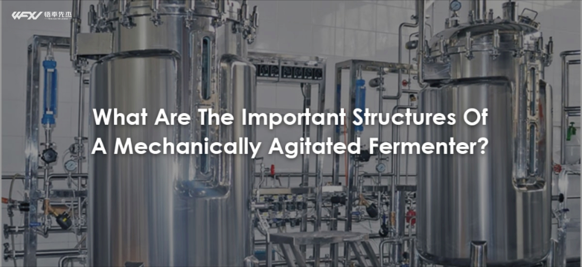 What Are The Important Structures Of A Mechanically Agitated Fermenter?