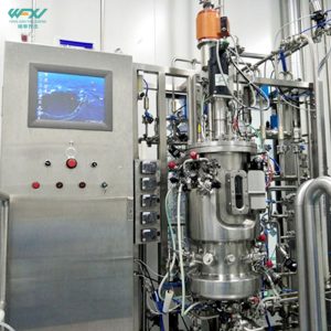 Bacterial Vaccine Automatic Fermenter CGMP Compliant