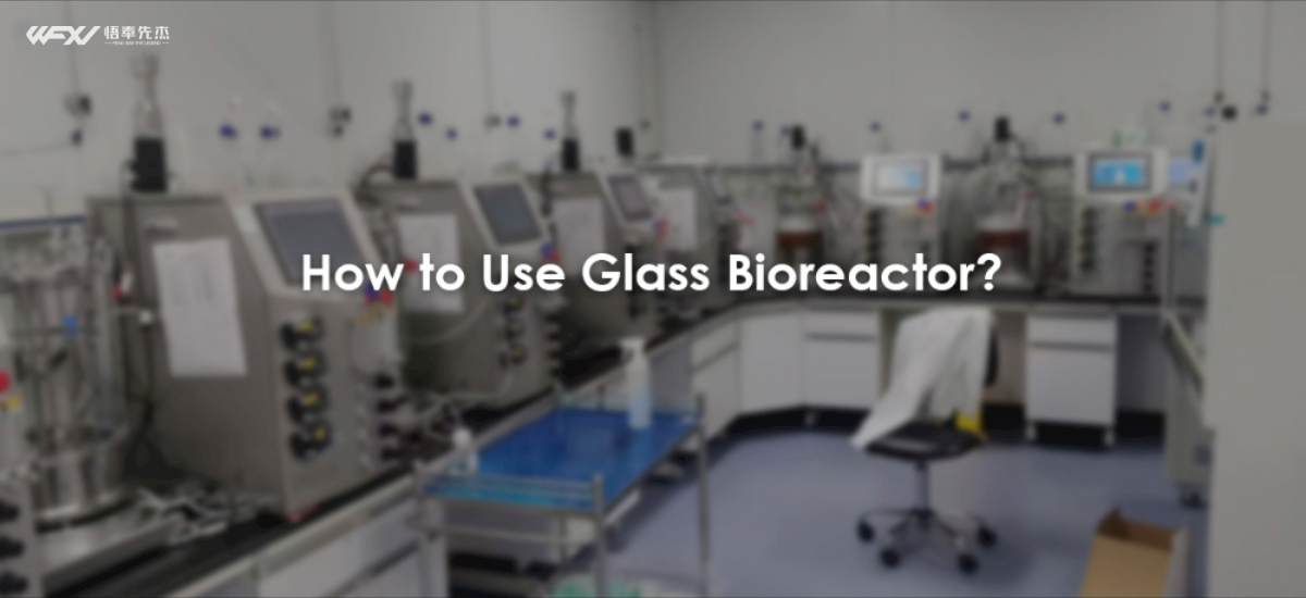 Application, Use, Sterilization And Cleaning Of Glass Bioreactor