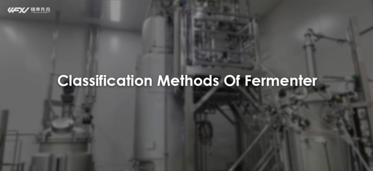 Three Classification Methods Of Fermenter