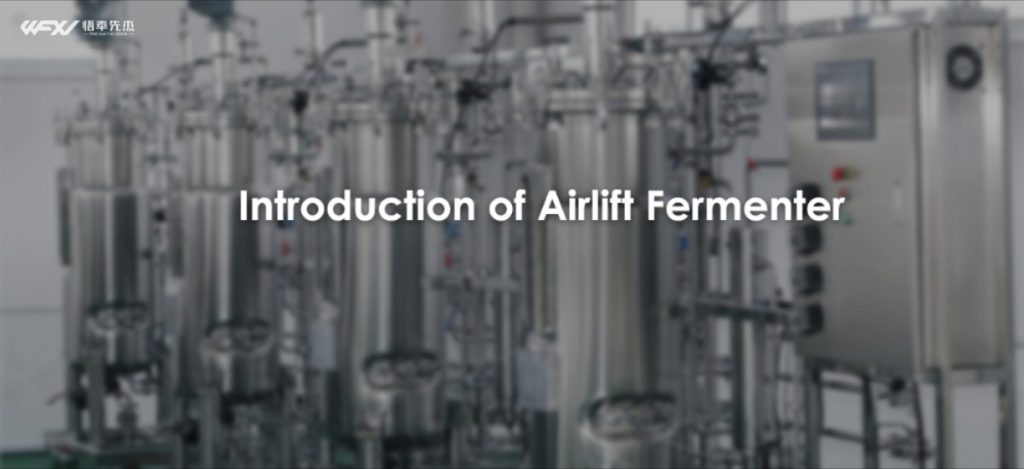 Working Principle And Feature Of Airlift Fermenter
