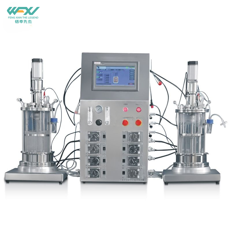 Benchtop Mechanical Mixing Parallel Double Glass Bioreactor