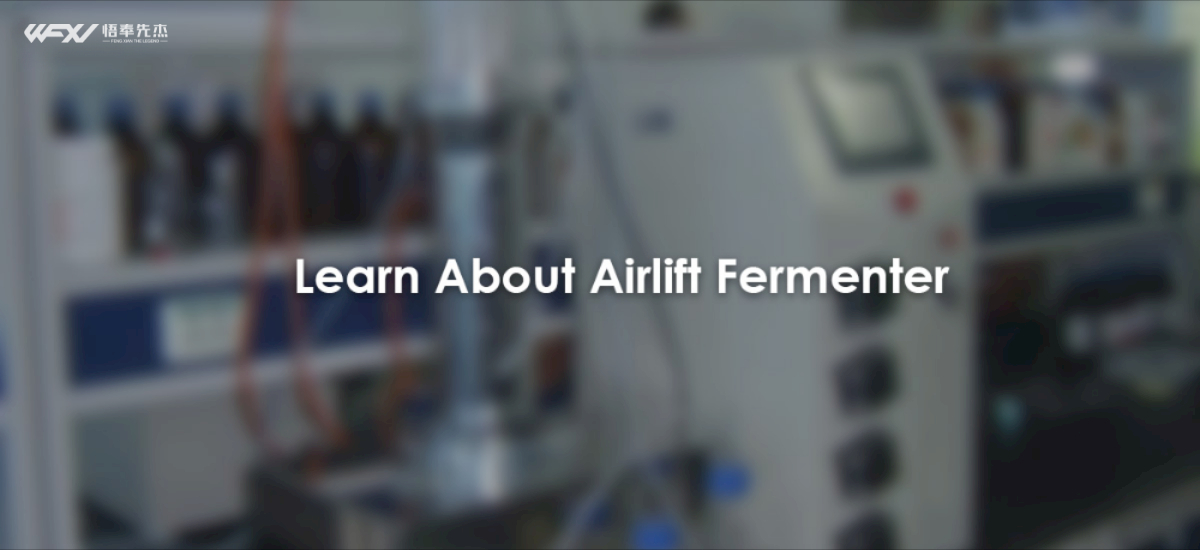 Features And Advantages Of Airlift Fermenters