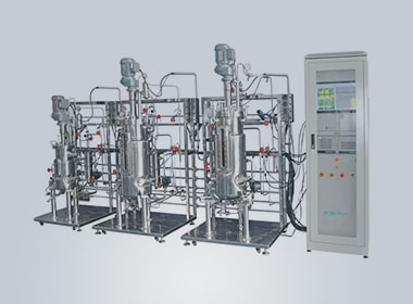 Multiple Multistage Stainless Steel Bioreactor Case