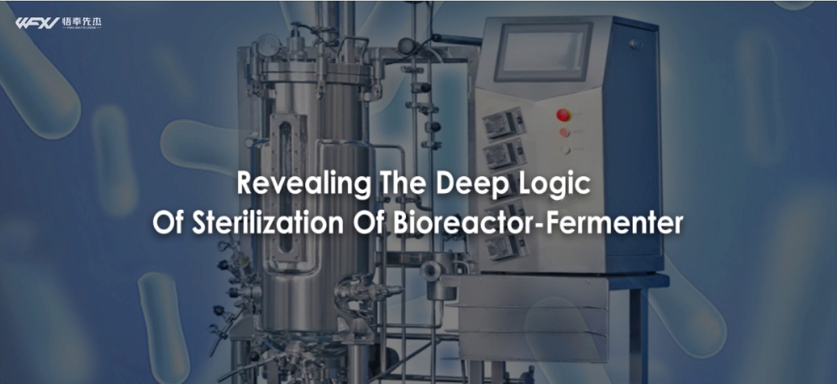 Revealing The Deep Logic Of Sterilization Of Bioreactor-Fermenter